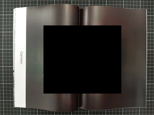 #29 Spiegel - Singular Papers