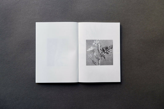 Ekotopia - Singular Papers