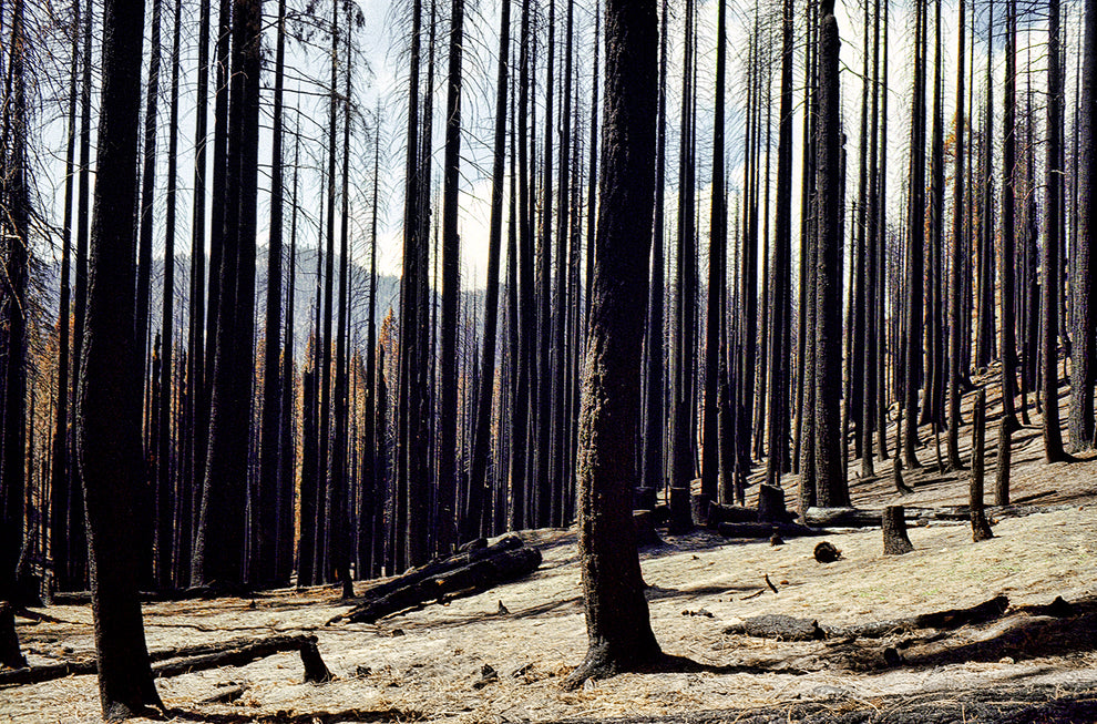 After the KP complex fires