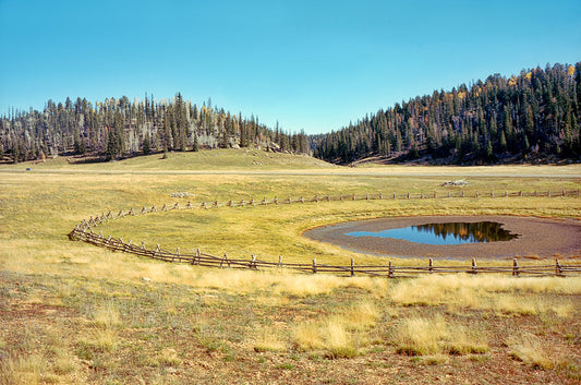 Deer Pond