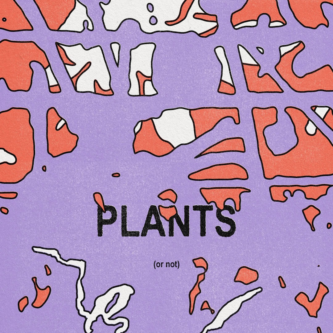 Talk To Plants