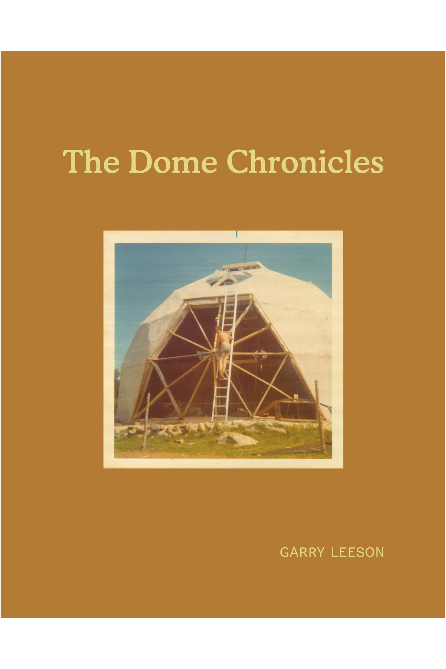 The Dome Chronicles