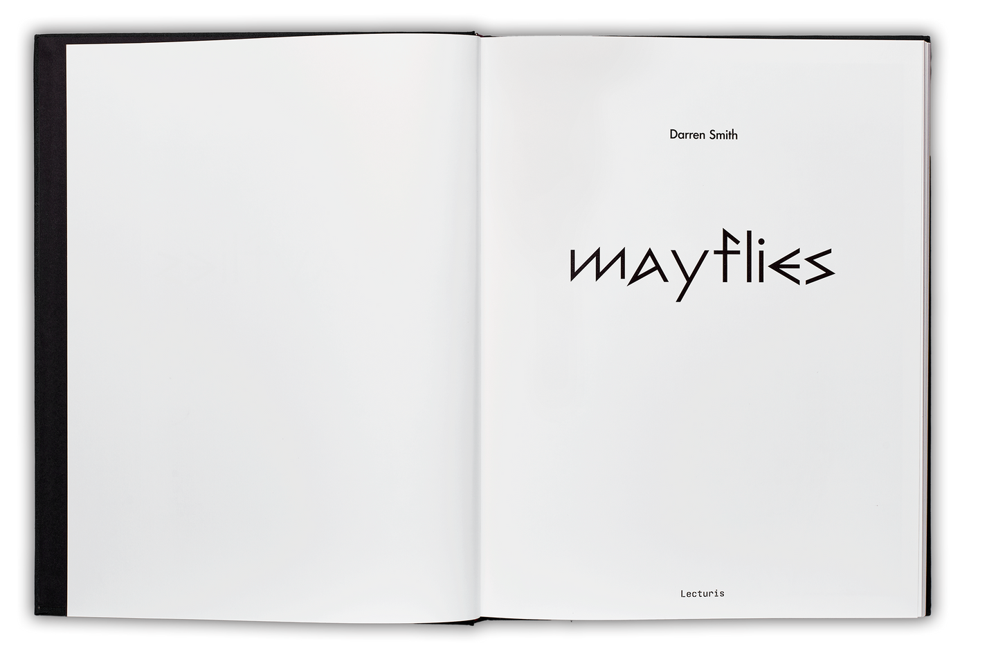 Mayflies