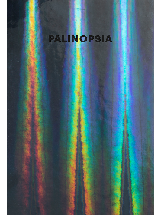 Palinopsia