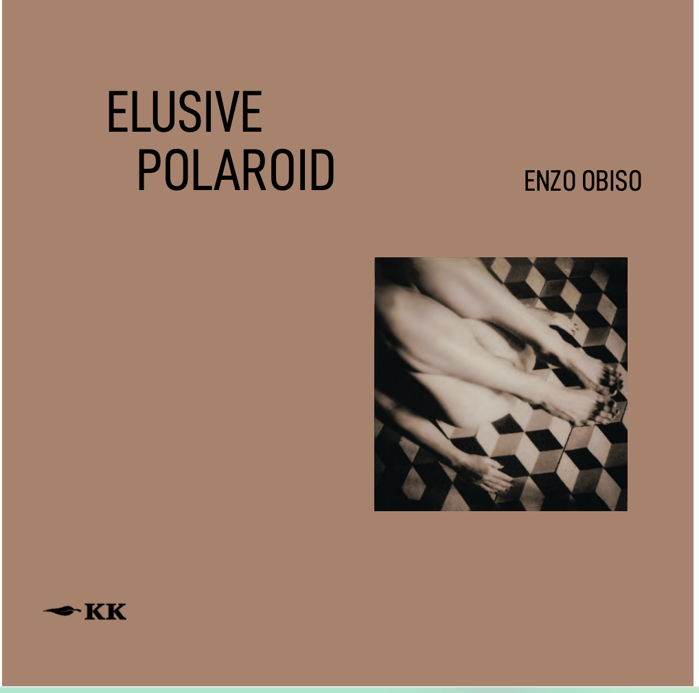 Elusive Polaroid