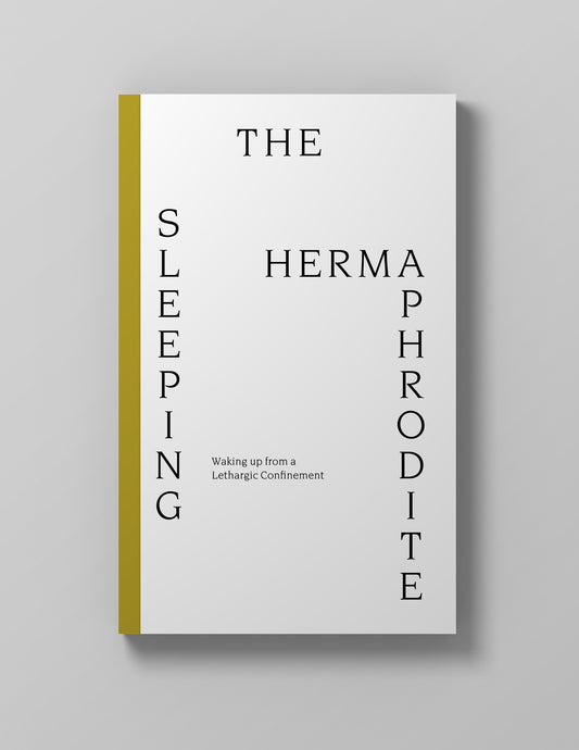 The Sleeping Hermaphrodite