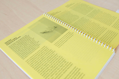 Commutacions / Commutations