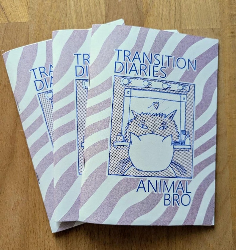 Transition Diaries